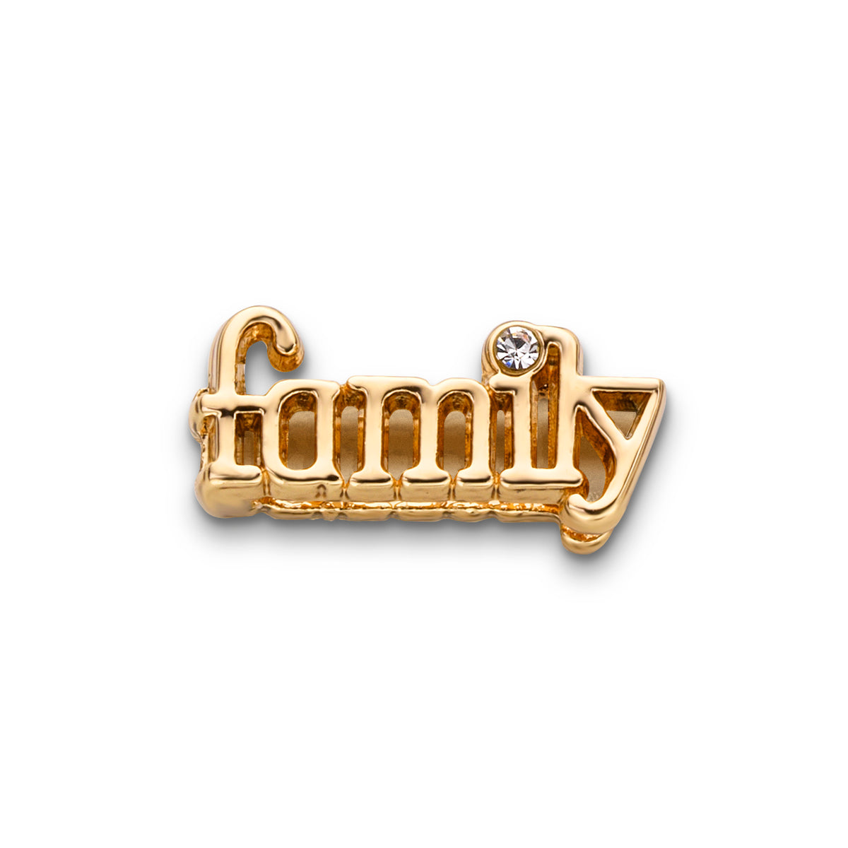 Mesh charm family gold - Stainless steel